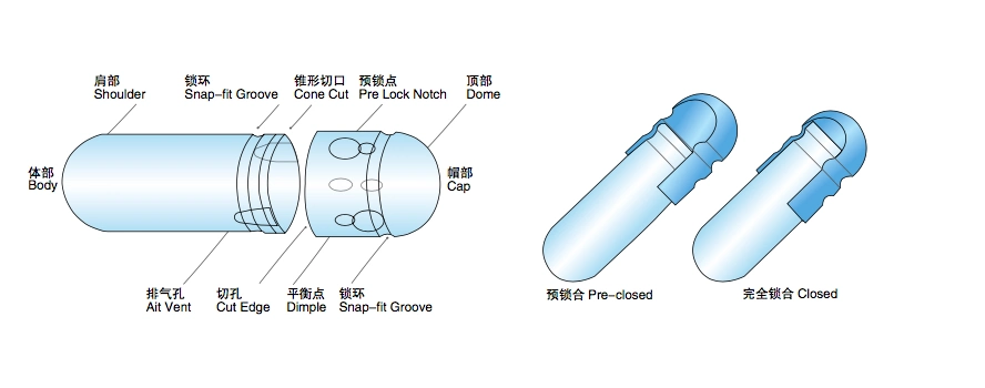 Size 00 to 4 Empty Pullulan Capsule